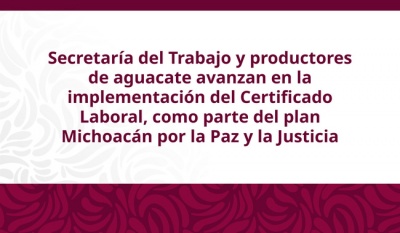 STPS y APEAM avanzan en diálogo técnico para fortalecer el Certificado Laboral de Agroexportación