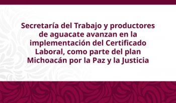 STPS y APEAM acuerdan diálogo técnico para fortalecer el Certificado Laboral de Agroexportación en Michoacán