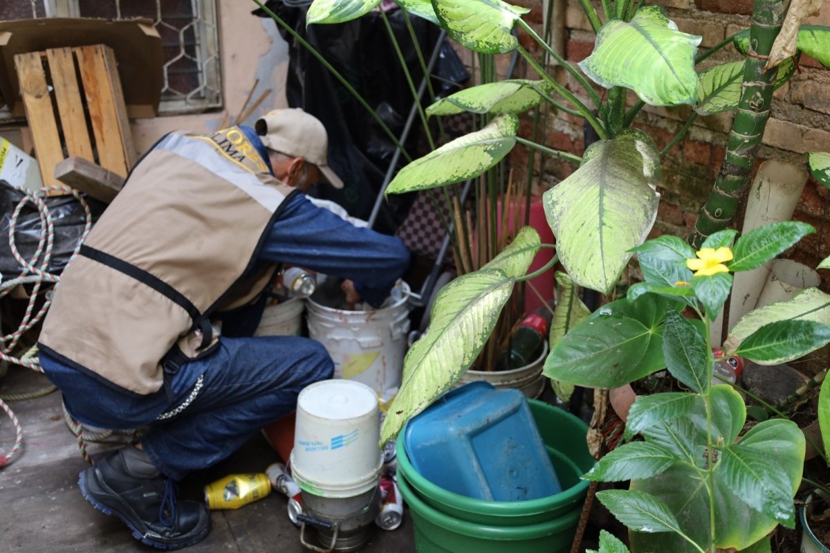 Intensifican control larvario en cinco municipios de Colima para combatir el dengue