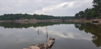 Pronostican ambiente muy frío con heladas en sierra de Chihuahua para este miércoles