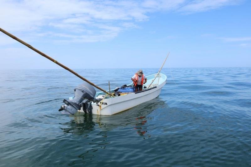 Convocan al Premio Estatal de Pesca y Acuacultura Ejemplar 2025 en Yucat&aacute;n