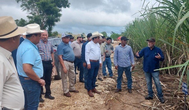 Inicia Programa de Capacitaci&oacute;n para Escuelas de Campo en Ca&ntilde;a de Az&uacute;car en Quintana Roo