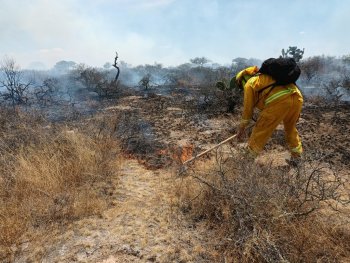 Guanajuato activa operativo con más de 3,700 personas para combatir incendios forestales