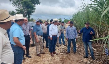 Inicia Programa de Capacitación para Escuelas de Campo en Caña de Azúcar en Quintana Roo