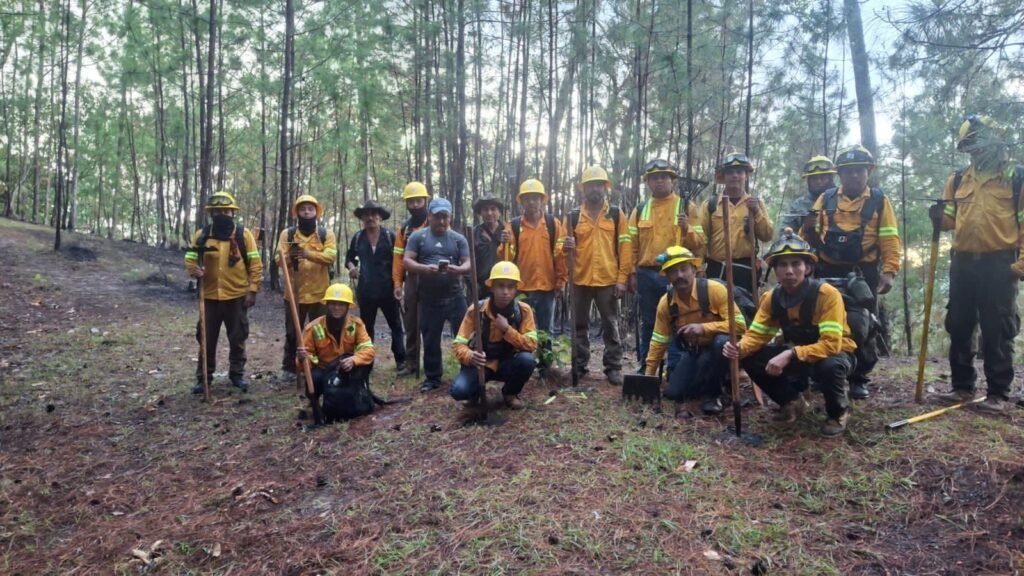 Coesfo liquida incendio forestal en San Lorenzo Texmelucan, Oaxaca