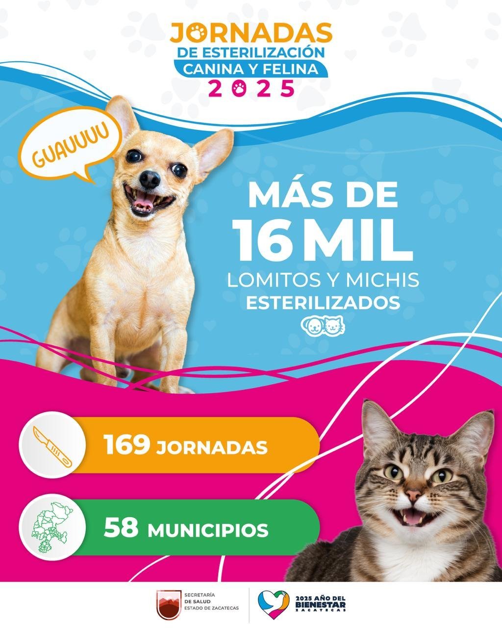 Gobierno de Zacatecas supera meta con m&aacute;s de 16 mil cirug&iacute;as gratuitas de esterilizaci&oacute;n en 2025