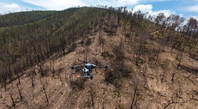 Michoac&aacute;n consolida su atractivo tur&iacute;stico con ocho nuevas rutas a&eacute;reas de Volaris en 2025