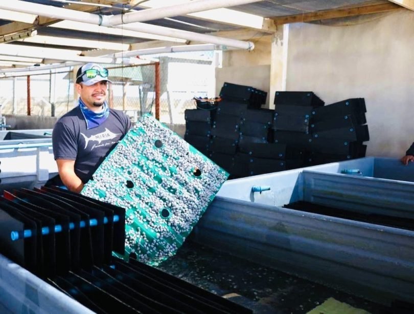 SEPADA invierte m&aacute;s de 2 mil millones de pesos en el sector primario de Baja California Sur durante la administraci&oacute;n