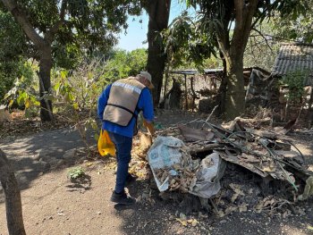 Salud Colima intensifica control larvario en municipios de riesgo por dengue