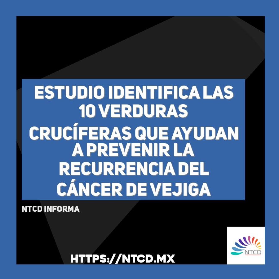 Estudio identifica las 10 verduras cruc&iacute;feras que ayudan a prevenir la recurrencia del c&aacute;ncer de vejiga