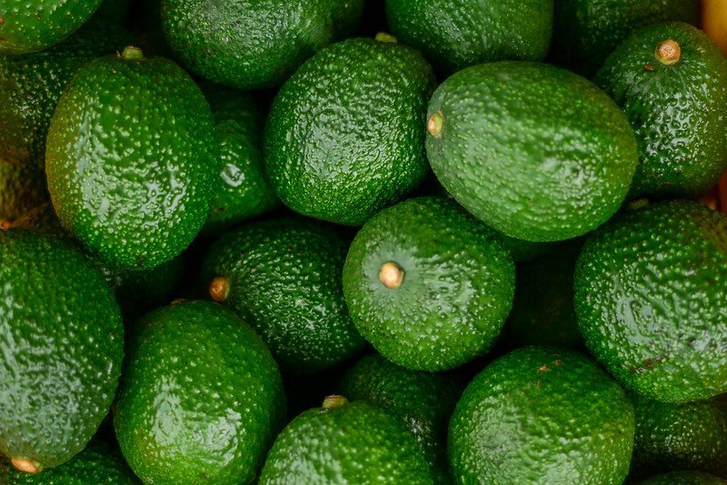 SADER Jalisco cierra el a&ntilde;o con m&aacute;s de 512 millones de pesos en apoyos directos para m&aacute;s de 6,754 productores