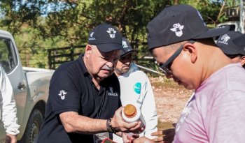 Senasica controla caso de gusano barrenador en Tlatlaya, Estado de México