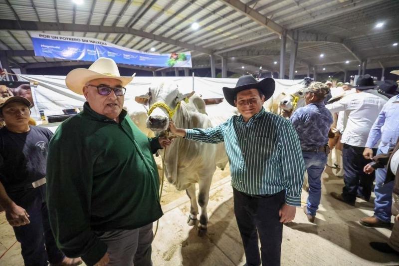 Gobierno de Yucat&aacute;n incrementa a 30 mil pesos el apoyo por semental bovino en Feria de Reyes Tizim&iacute;n