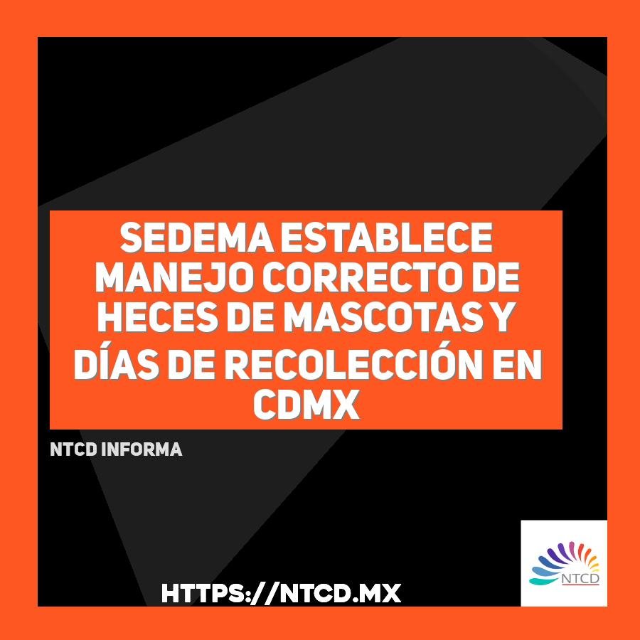 Sedema establece manejo correcto de heces de mascotas y d&iacute;as de recolecci&oacute;n en CDMX