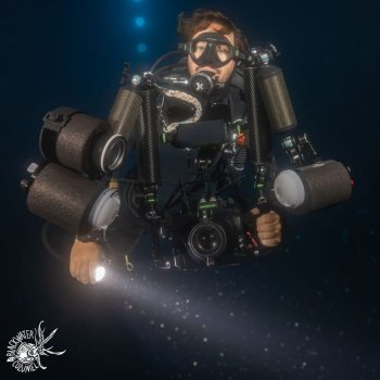 FPMC inaugura exposición 'Blackwater Cozumel' que fusiona arte y ciencia marina