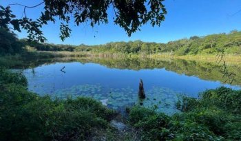 Proyecto X'baatún revela mayor extensión e influencia Puuc en sitio arqueológico de Yucatán