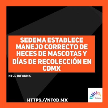 Sedema establece manejo correcto de heces de mascotas y días de recolección en CDMX