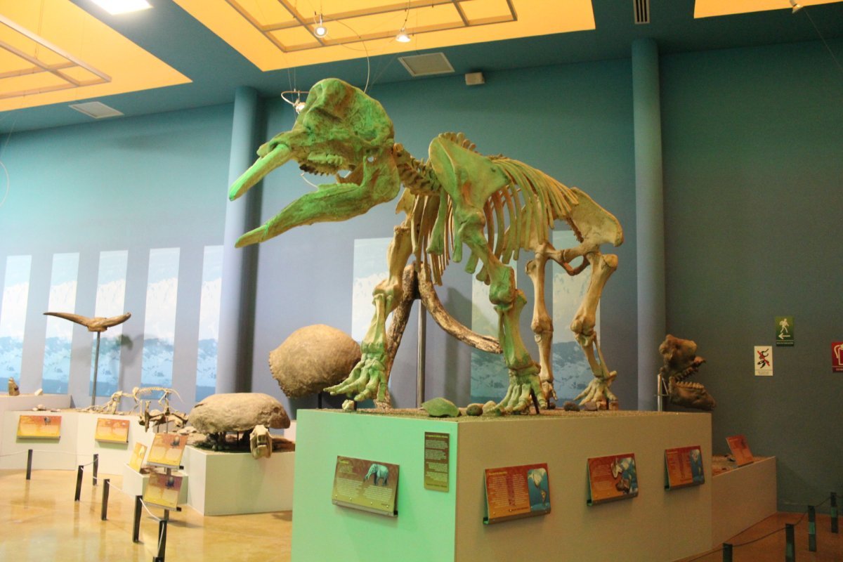 Museos estatales en Chihuahua reanudan actividades el 6 de enero tras vacaciones de invierno