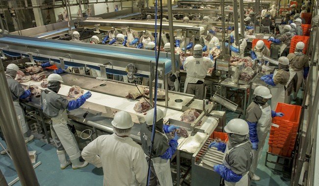 Organizaciones ganaderas y porc&iacute;colas respaldan cupos de importaci&oacute;n establecidos por el Gobierno de M&eacute;xico