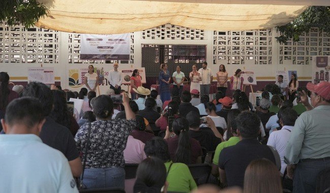 Gobierno impulsa producci&oacute;n de jamaica en Guerrero como parte de Alimentaci&oacute;n para el Bienestar