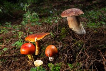 Pueblos Mancomunados de Oaxaca, nominados a Premios Excelencias Turísticas 2025