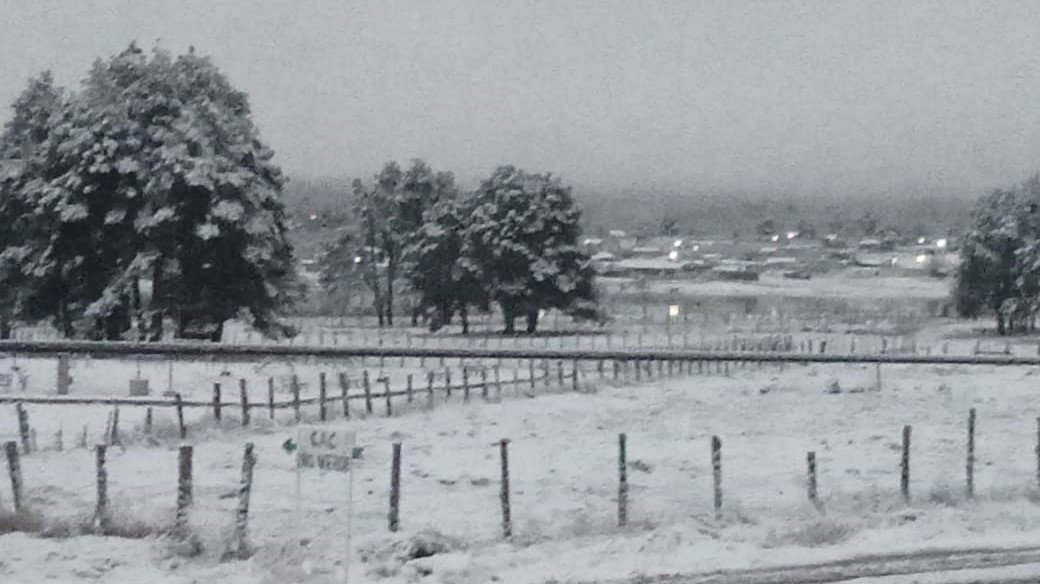 Nevadas en cinco municipios de Chihuahua por segunda tormenta invernal