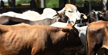 Gobierno de Tabasco supervisa obras que resuelven rezagos de más de medio siglo en Macuspana