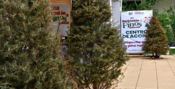 Tabasco construirá el mejor patinódromo de México en Olimpia XXI