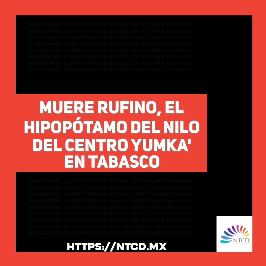 Muere Rufino, el hipop&oacute;tamo del Nilo del Centro Yumka' en Tabasco