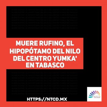 Muere Rufino, el hipopótamo del Nilo del Centro Yumka' en Tabasco