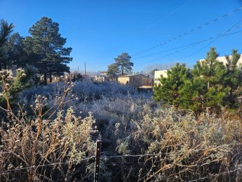 Registran heladas y temperaturas bajo cero en diversas regiones de Chihuahua