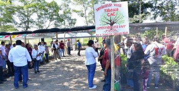 Gobierno de Tabasco invierte 11.6 mdp en obras de pavimentación y drenaje en Jalpa de Méndez