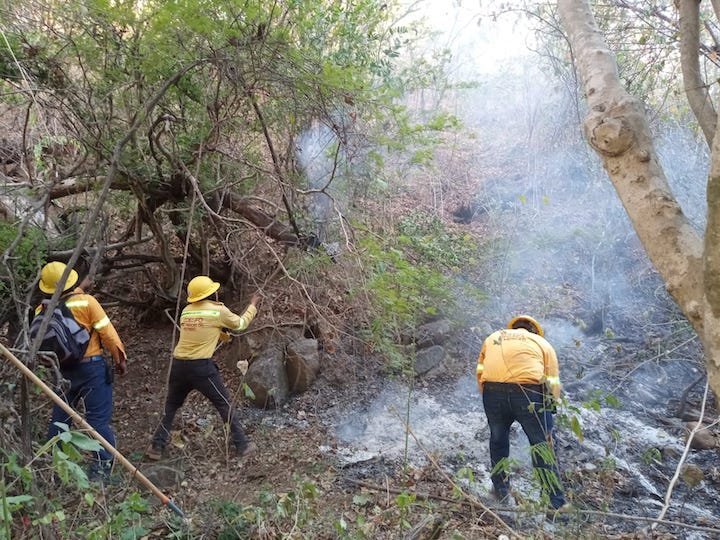 Coesfo reporta reducci&oacute;n significativa en tiempos de atenci&oacute;n a incendios forestales en Oaxaca