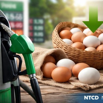 Profeco reporta estabilidad en precio de gasolina y baja en costo del huevo