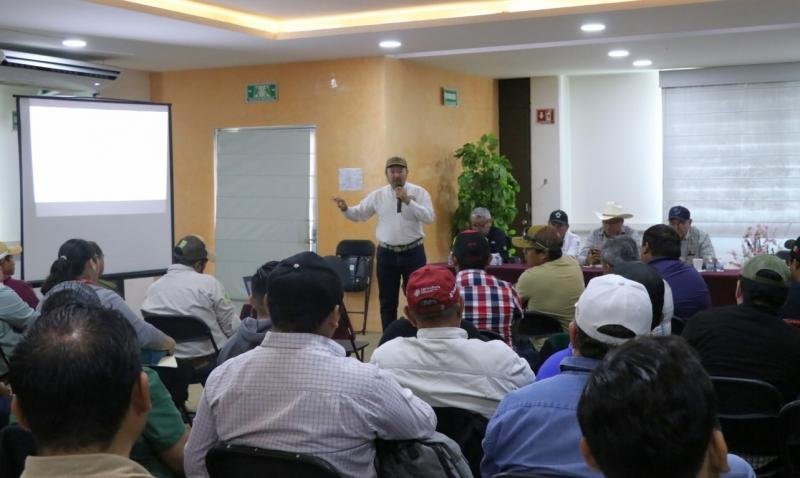 Capacitan a t&eacute;cnicos para iniciar Plan Piloto contra el Gusano Barrenador del Ganado en Yucat&aacute;n