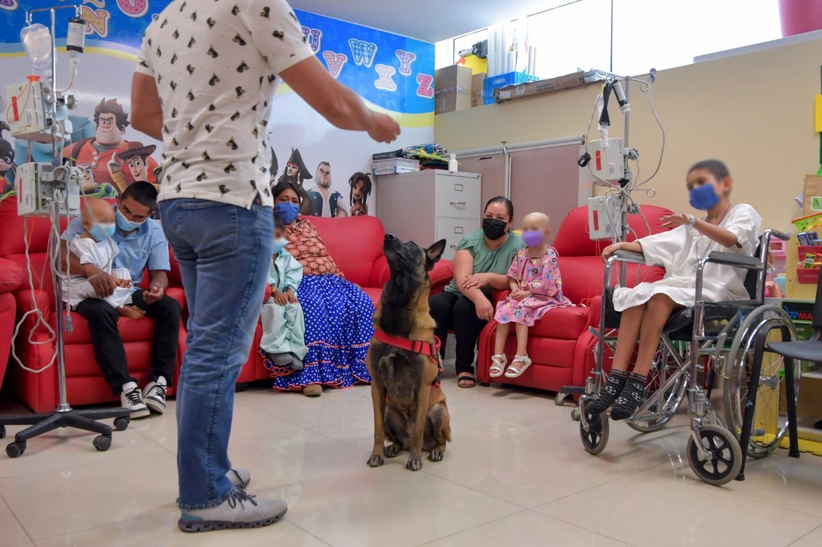 Hospital Infantil de Chihuahua brinda atenci&oacute;n integral a pacientes pedi&aacute;tricos con enfermedades cr&oacute;nicas