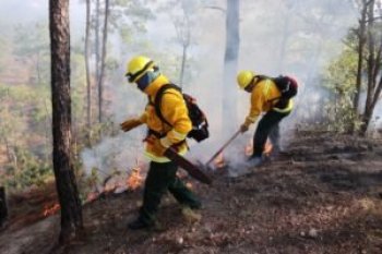 Gobierno de Guerrero implementa programa integral y simulacro con drones para temporada de incendios forestales 2026