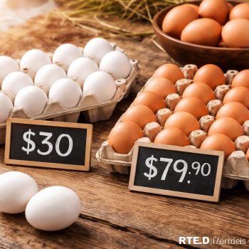 Profeco reporta precios del huevo: desde $30 por docena blanca hasta $79.90 por 18 piezas rojas
