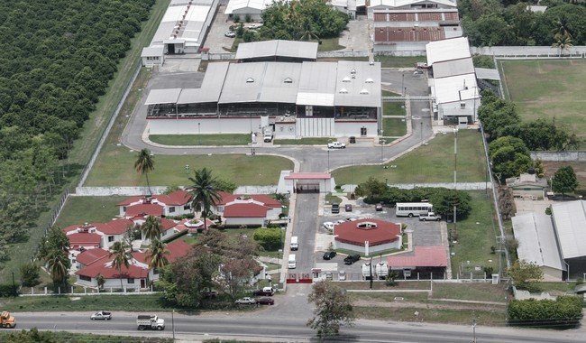 Planta productora de moscas est&eacute;riles en Chiapas registra 50% de avance para combatir gusano barrenador