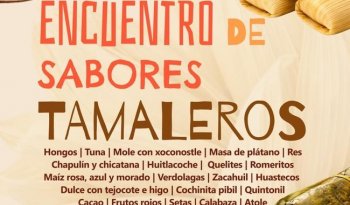Encuentro de Sabores Tamaleros en Los Pinos ofrecerá más de 80 variedades tradicionales y contemporáneas