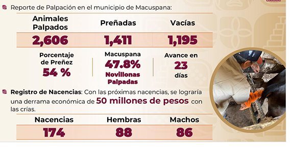 Gobierno construye Nave de Exposiciones y Restaurante en Stand Ganadero del Parque Tabasco con inversi&oacute;n de 41.7 millones