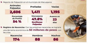 Gobierno construye Nave de Exposiciones y Restaurante en Stand Ganadero del Parque Tabasco con inversión de 41.7 millones