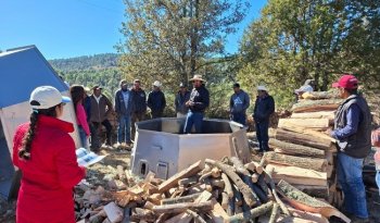 INIFAP capacita a comunidad Tarahumara en producción sustentable de carbón vegetal con horno CEVAG