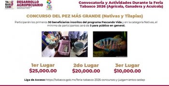 Programa Pescando Vida superará las 3,600 toneladas de producción en 2026 con derrama de más de 200 mdp