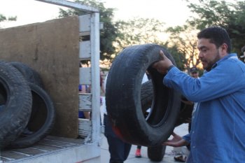 Colima inicia 2026 sin casos confirmados de dengue, reporta 12 probables