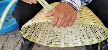 Convocatoria PACMyC Guanajuato 2026: Apoyos a Culturas Municipales y Comunitarias