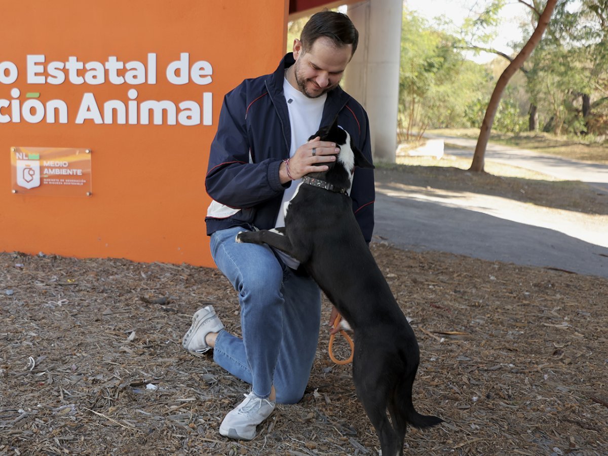 Daniel Acosta invita a sumarse al voluntariado 'Leones en Acci&oacute;n' tras jornada de paseo para perritos en adopci&oacute;n