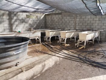 Gobierno estatal destina más de 10 mdp para infraestructura acuícola y 1.5 mdp para repoblamiento de embalses