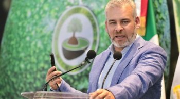 Michoacán exportará más de 120 mil toneladas de aguacate a EU para el Super Bowl