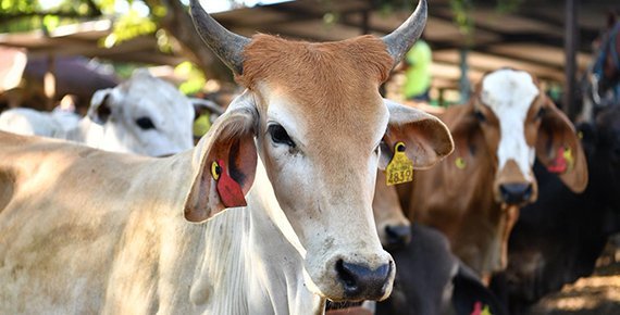 Gobierno de Tabasco invierte 6 millones en mantenimiento del Instituto Tecnol&oacute;gico Superior de los R&iacute;os